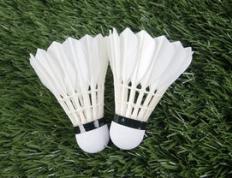 乐鱼app-丹麦羽毛球队横扫中国羽毛球队，辛杜关键制胜