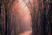 乐鱼 vip 注册-包含马来西亚队完胜日本队，李梓嘉状态火热的词条