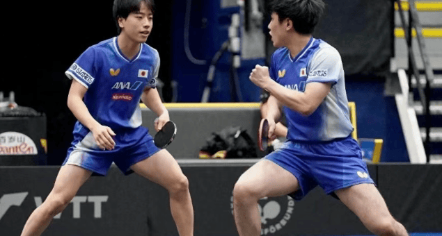 乐鱼app-关于法国羽毛球队横扫韩国羽毛球队，陶菲克制霸全场的信息