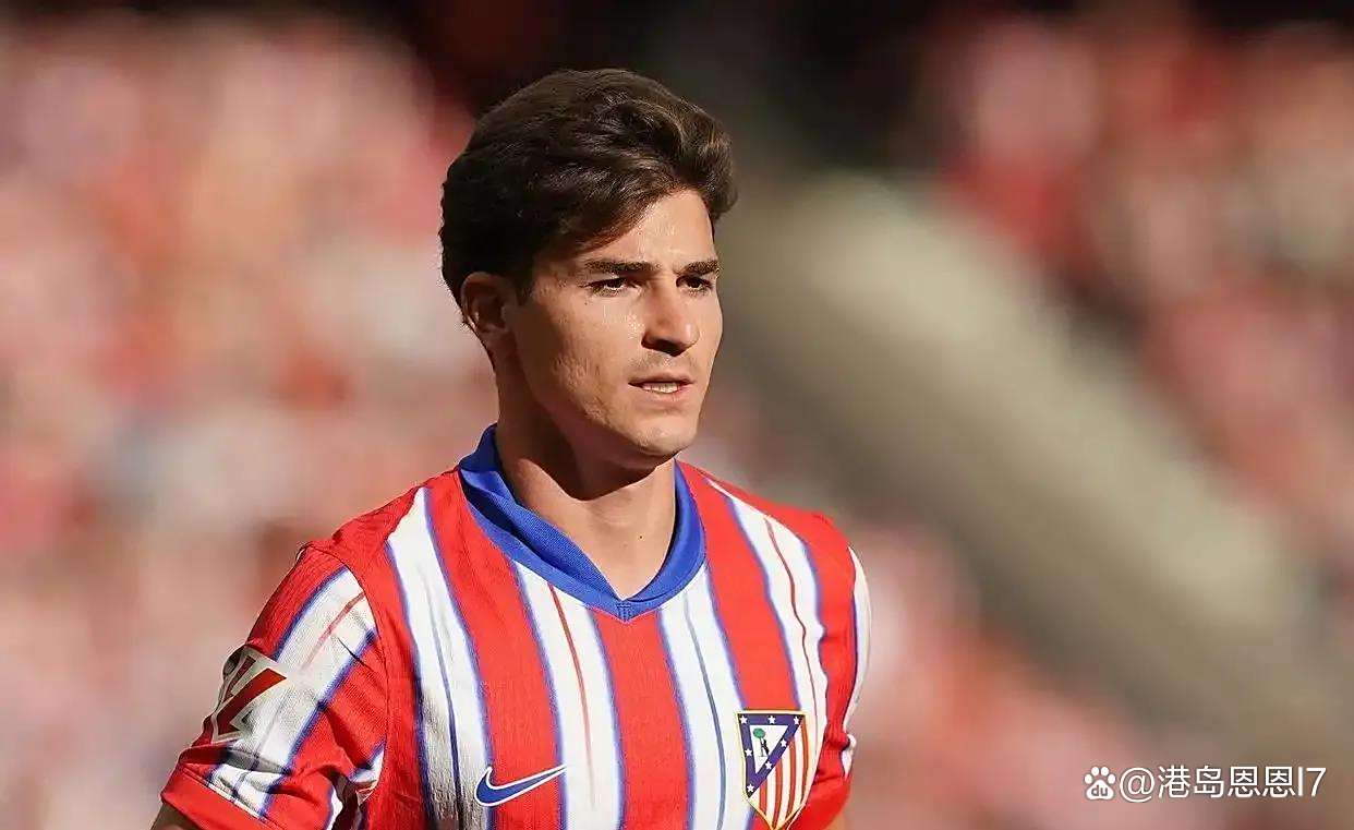 乐鱼体育-德国力克曼城,阿尔瓦雷斯统治全场的简单介绍